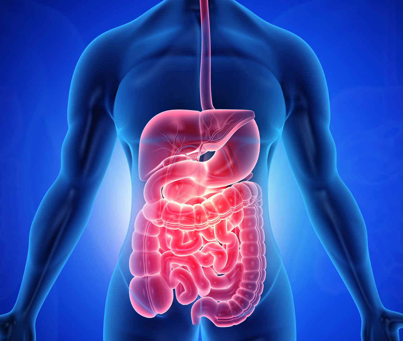 NEW LIFE POLY CLINIC